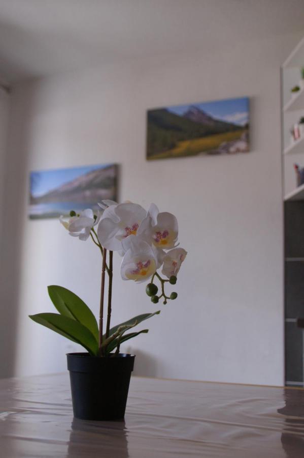 Apartament Le Guisanel Briançon Zewnętrze zdjęcie